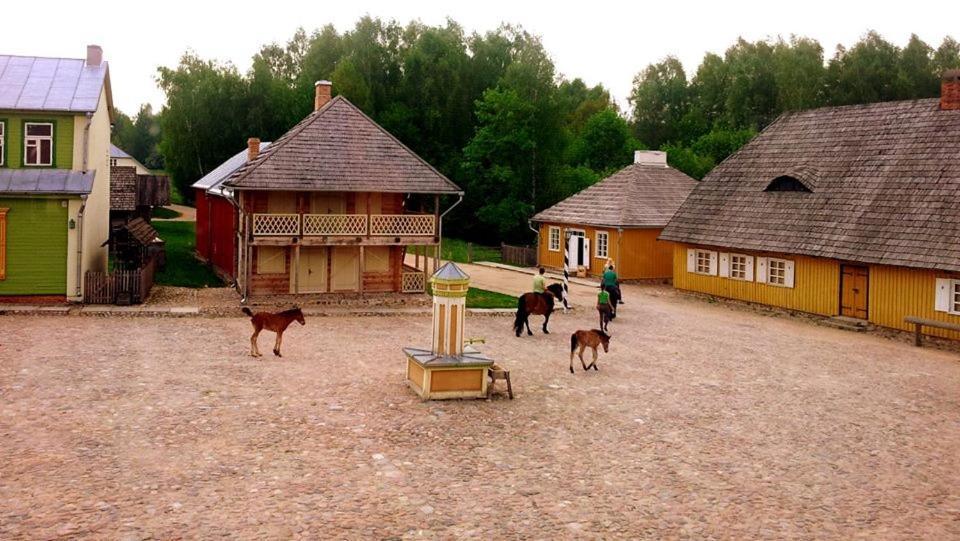 Stay At Lithuanian Folk Museum Rumsiskes ภายนอก รูปภาพ